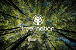 ldsa-decoupe-jet-deau-haute-pression - engagement-ecologique - Oakman-and-Tree-Nation 09